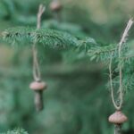 Mini mushroom ornaments made from mother nature’s own materials
