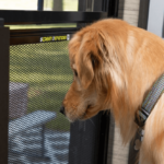 Easy RV Door Upgrades