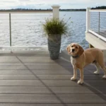 11 Tips For A Pet-Friendly Deck