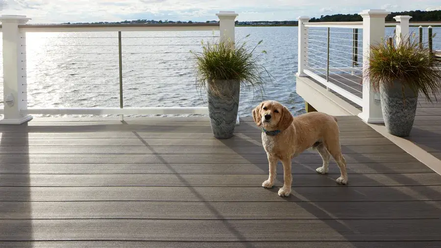11 Tips For A Pet-Friendly Deck